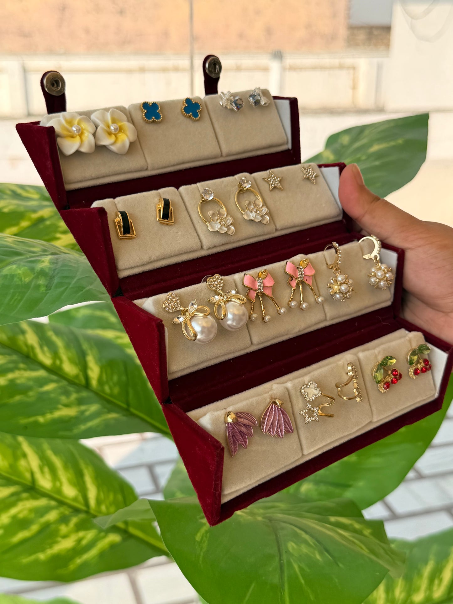 Viral Earring Organizer Box (12 Pairs)