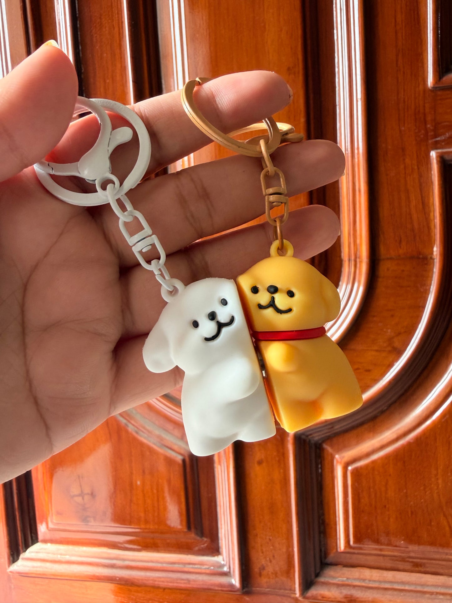 Paws Together Magnetic Keychain