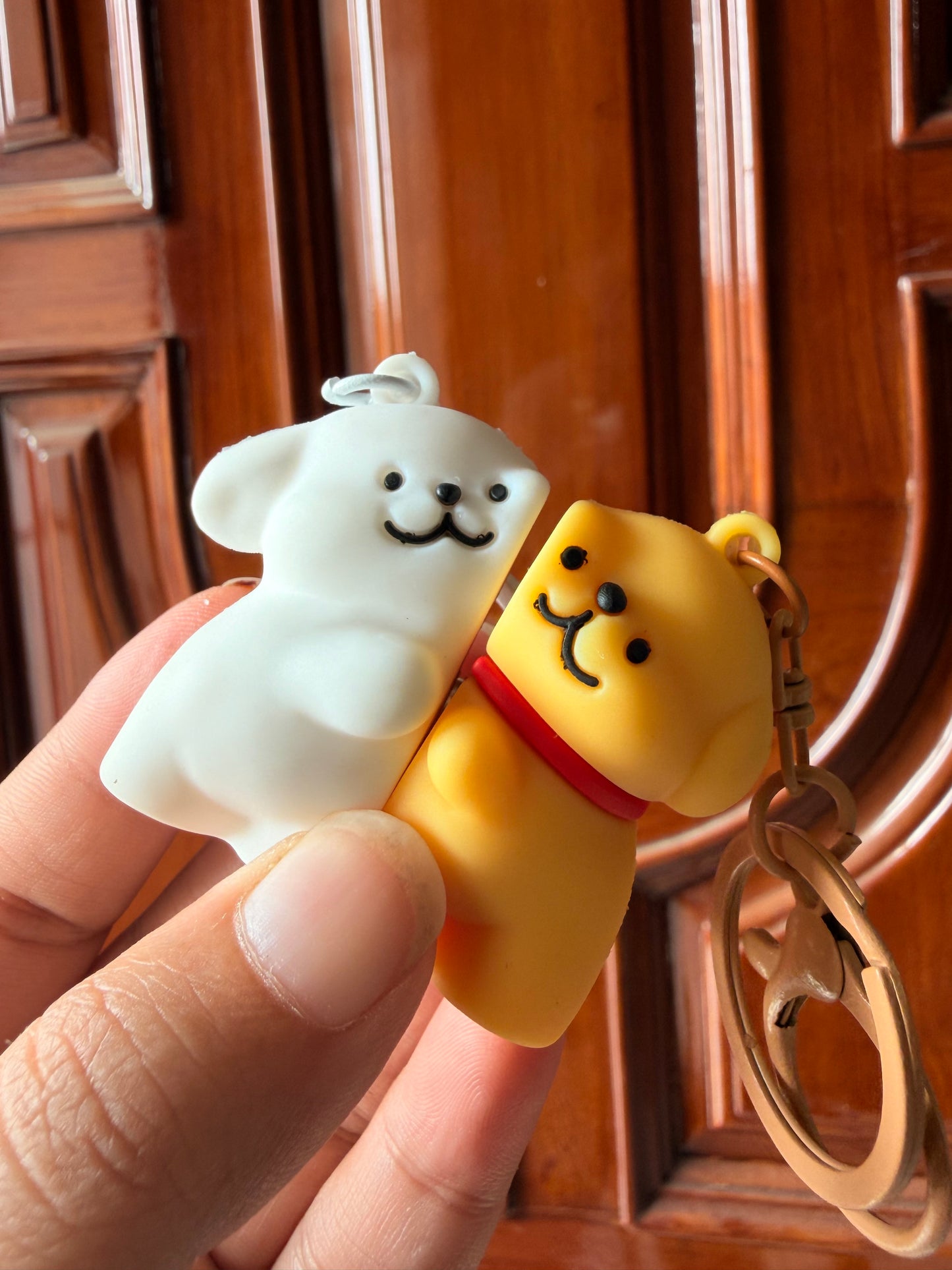 Paws Together Magnetic Keychain