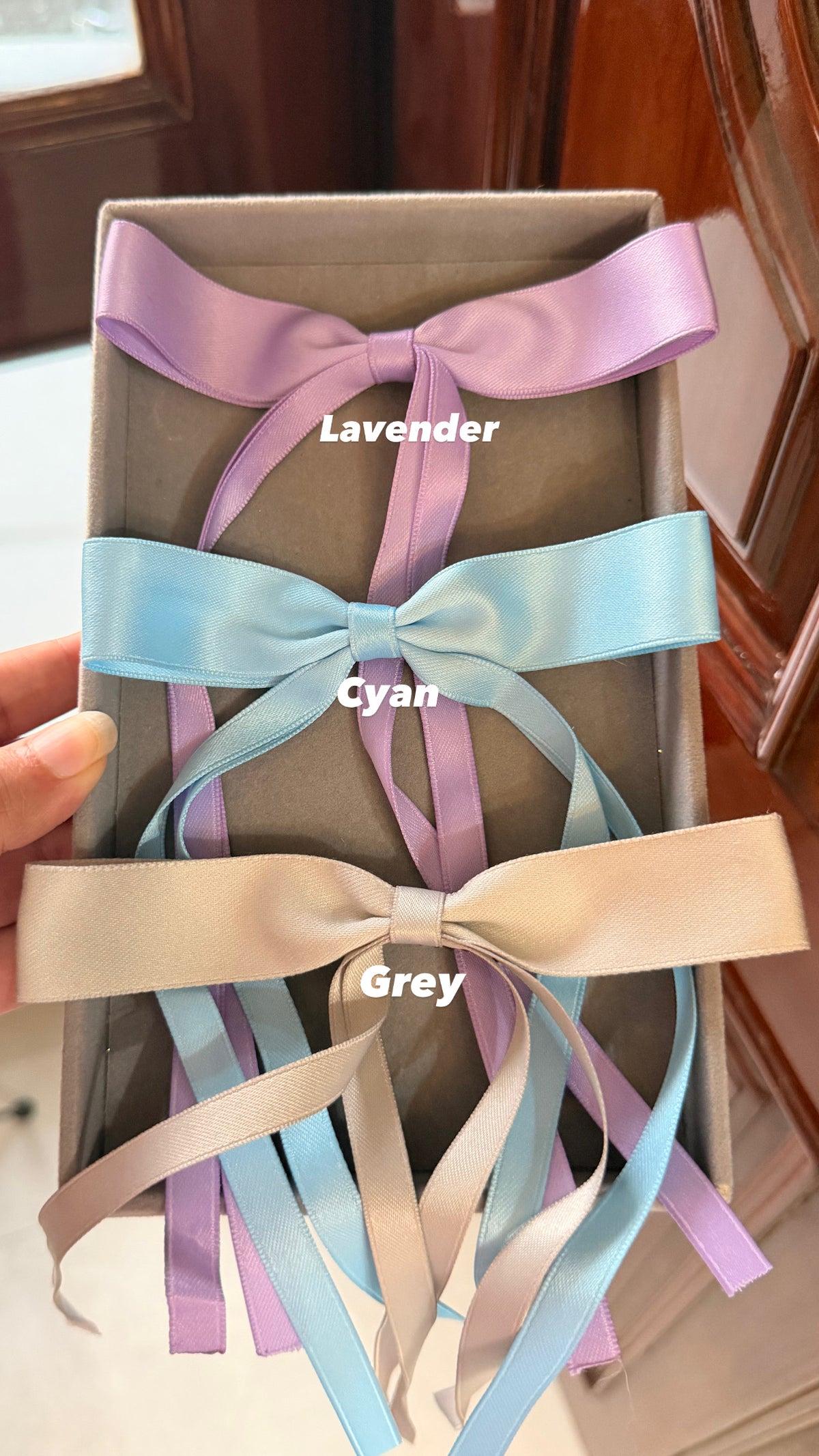 Luxe Long-Tail Satin Bow