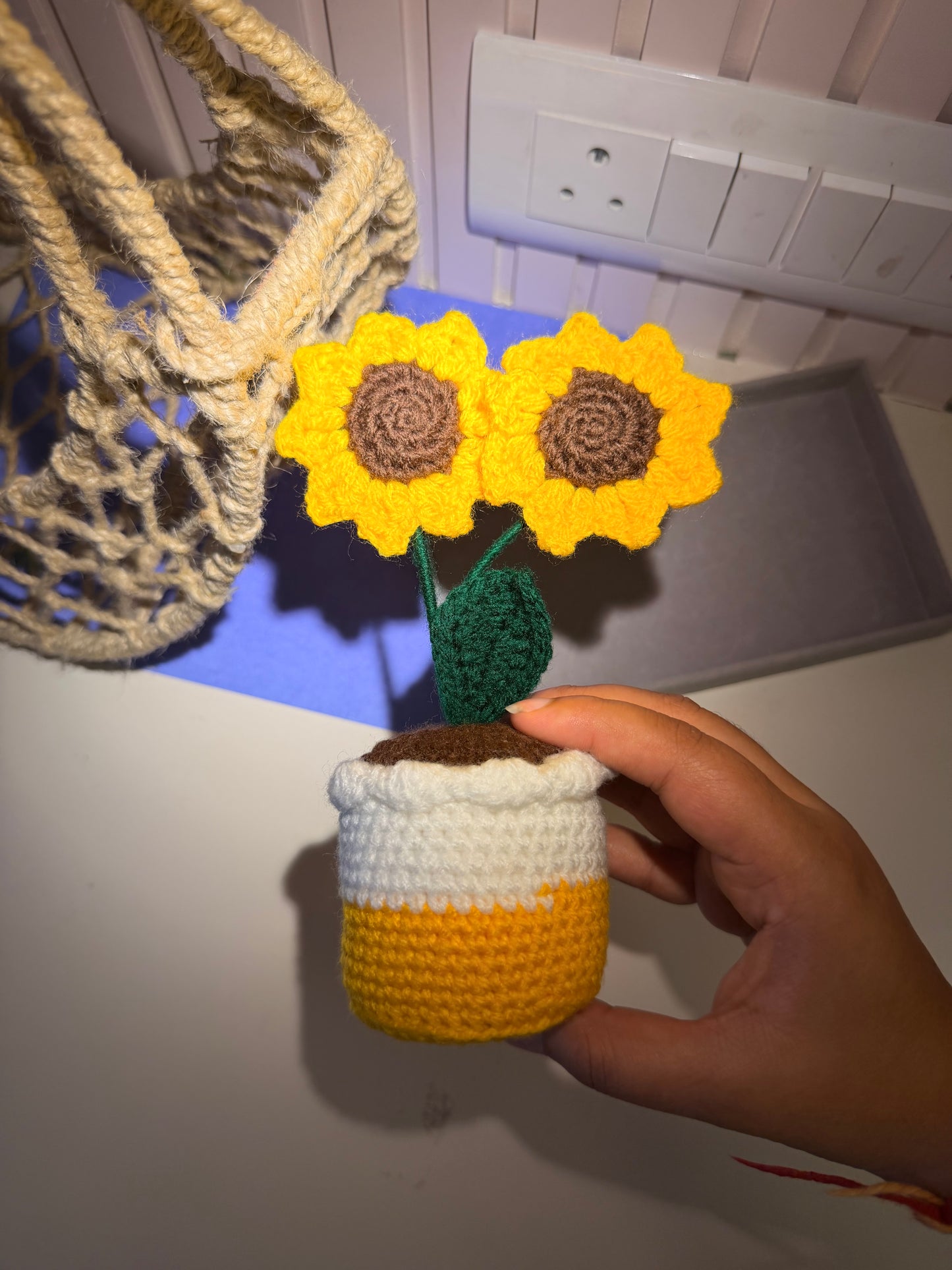 Sunbeam Bloom Crochet Pot