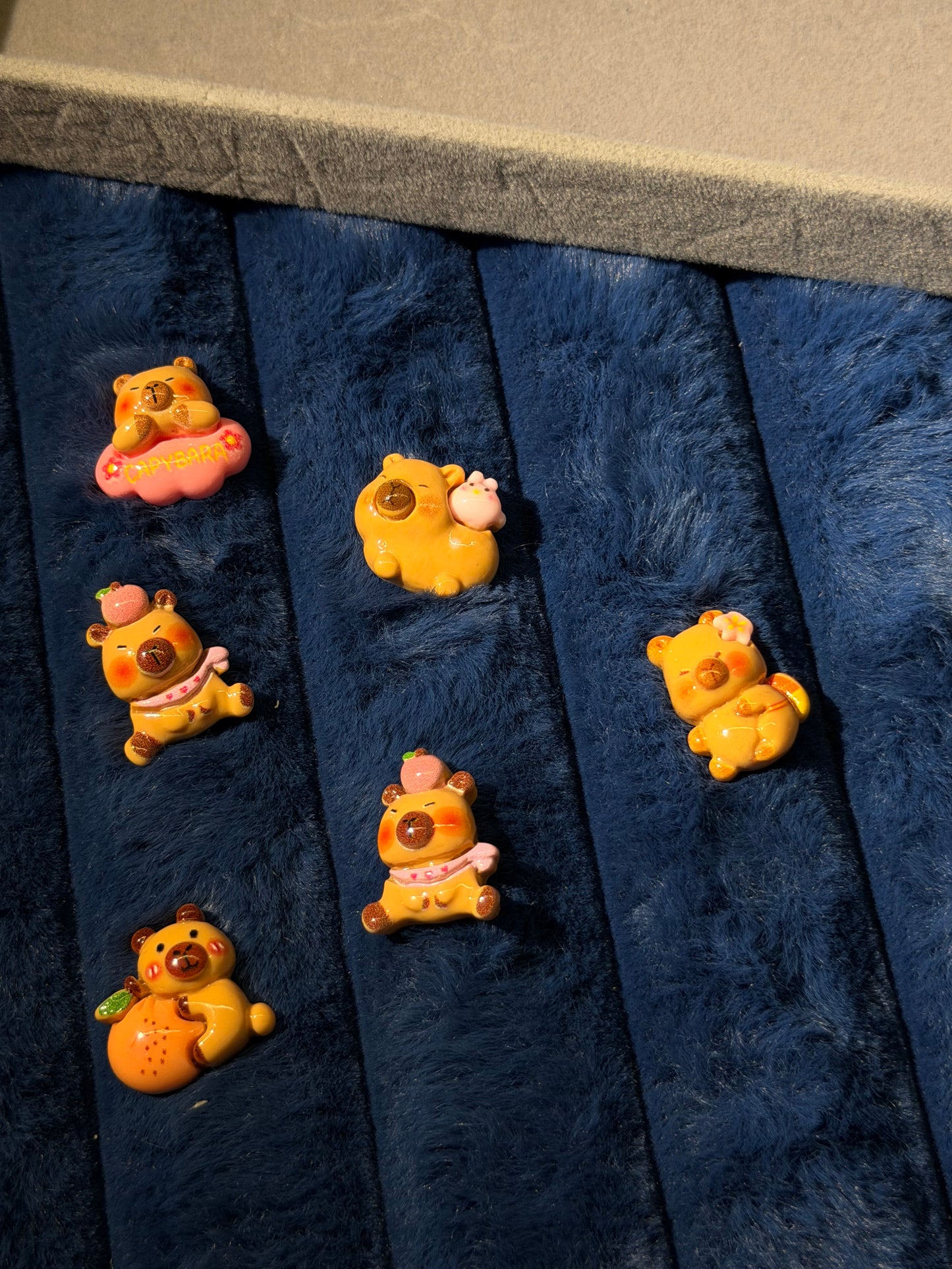 Stickable Capybara charms (6pcs)
