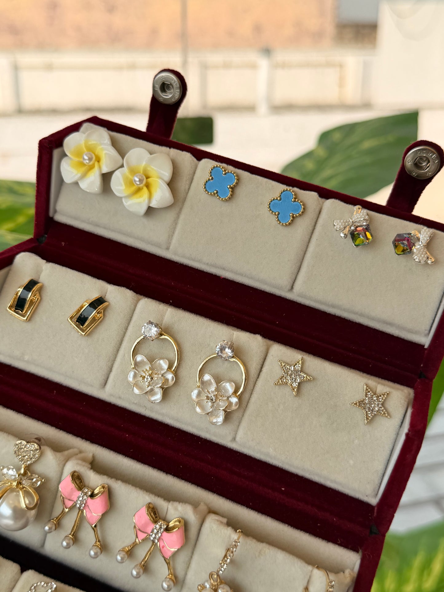 Viral Earring Organizer Box (12 Pairs)